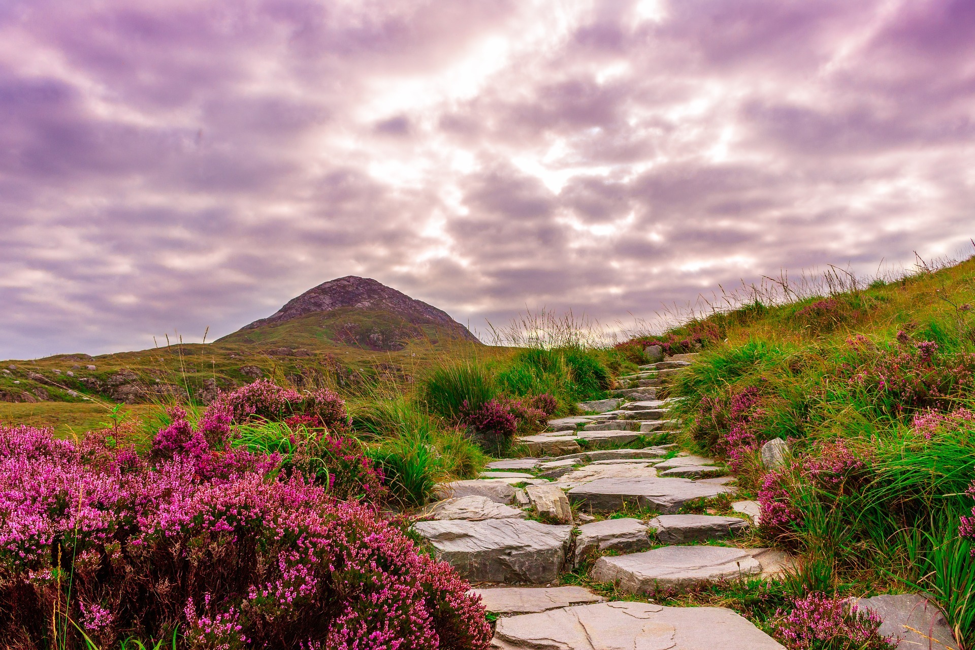 Spring in Ireland